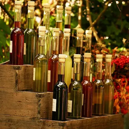 Novak Гостевой дом 3*