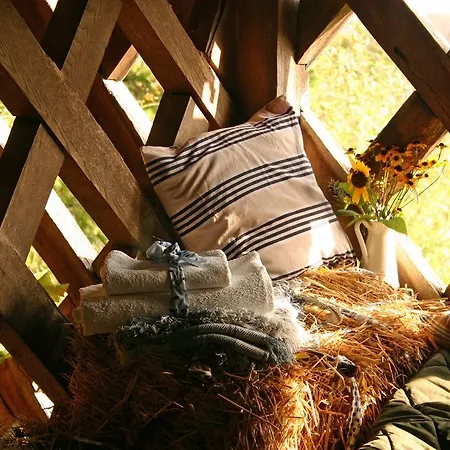 Novak Гостевой дом Двор