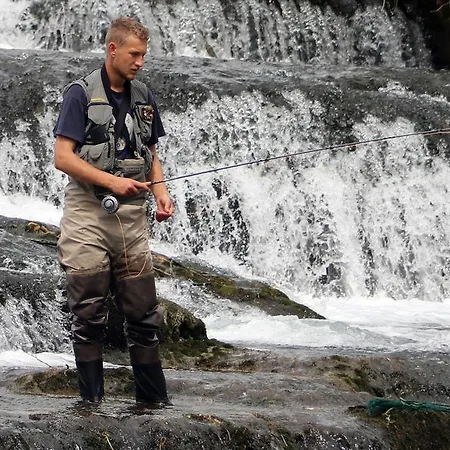 Гостевой дом Novak