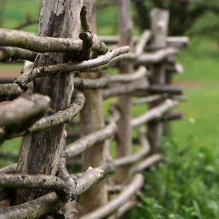 Гостевой дом Novak 3*