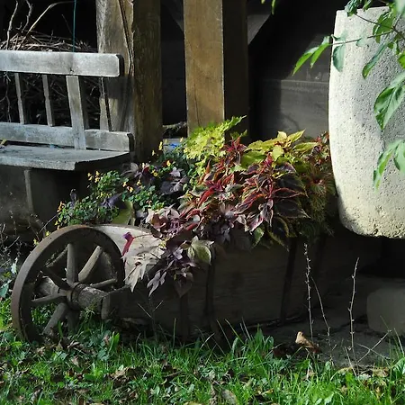 Novak Гостевой дом 3*