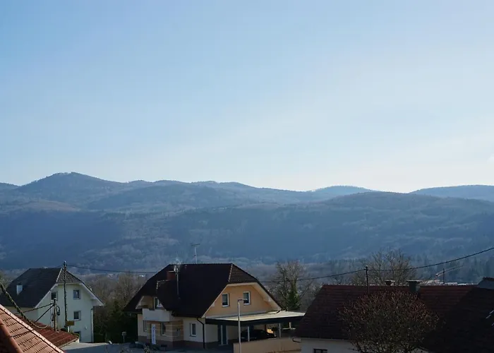 Novak ゲストハウス Dvor