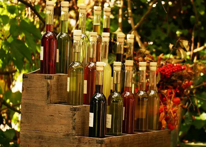 Novak ゲストハウス 3*