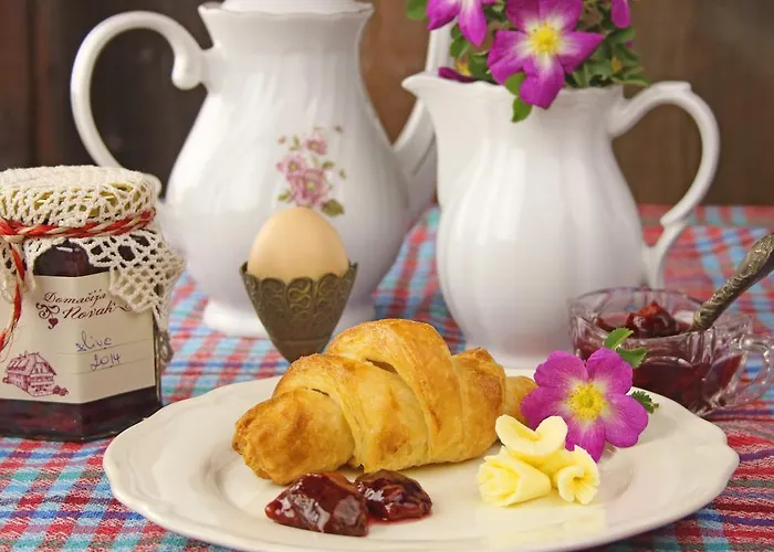 ゲストハウス Novak Dvor