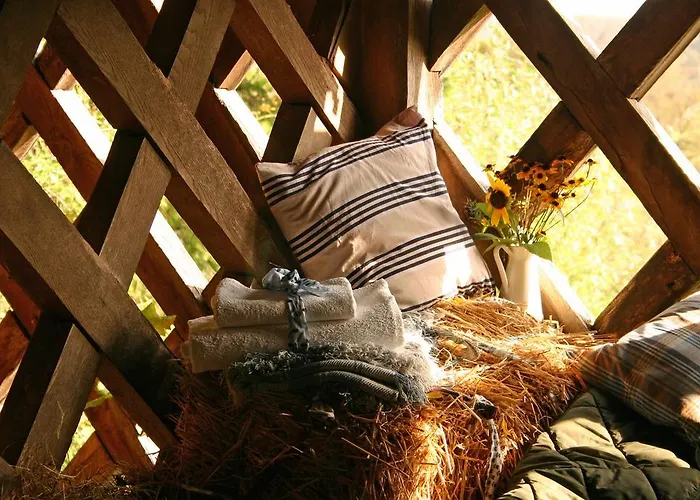 Novak ゲストハウス Dvor