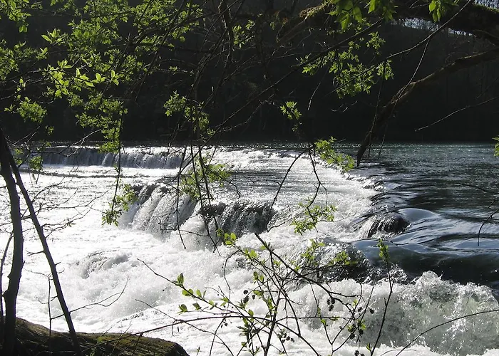 Novak ゲストハウス Dvor