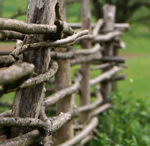 ゲストハウス Novak 3*