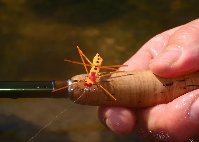 Novak ゲストハウス Dvor