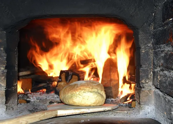 ゲストハウス Novak 3*