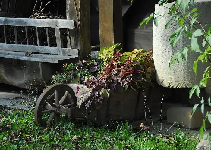 Novak ゲストハウス 3*